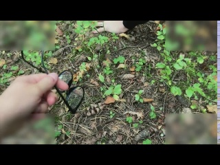 i was looking for a ufo but found a dick