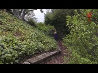 lena paul, katy jayne big tits big ass natural tits young huge tits milf